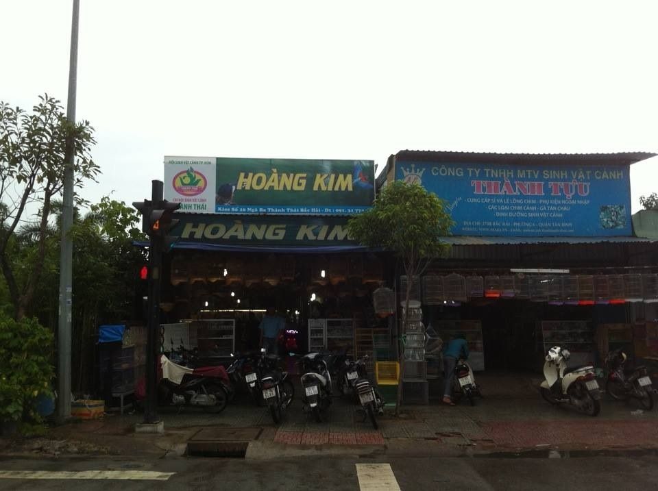 Cám chim Hiển Bảo Khánh : Phân phối nhận làm đại lý với giá hấp dẫn - 3