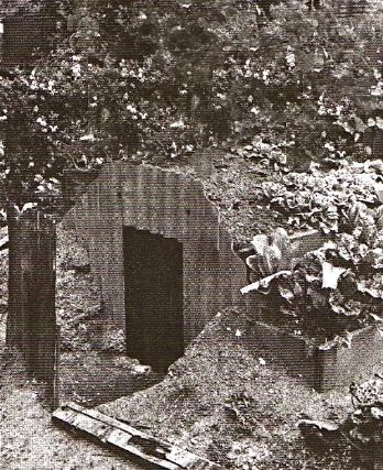 air raid shelter photo: WW2 AIR RAID SHELTER 4af3c665-9091-47ea-b8d9-a7fecaeecddb_zpsb0ccfab5.jpg