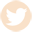 Twitter Icon