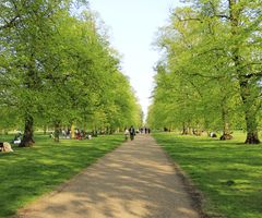 Regents park