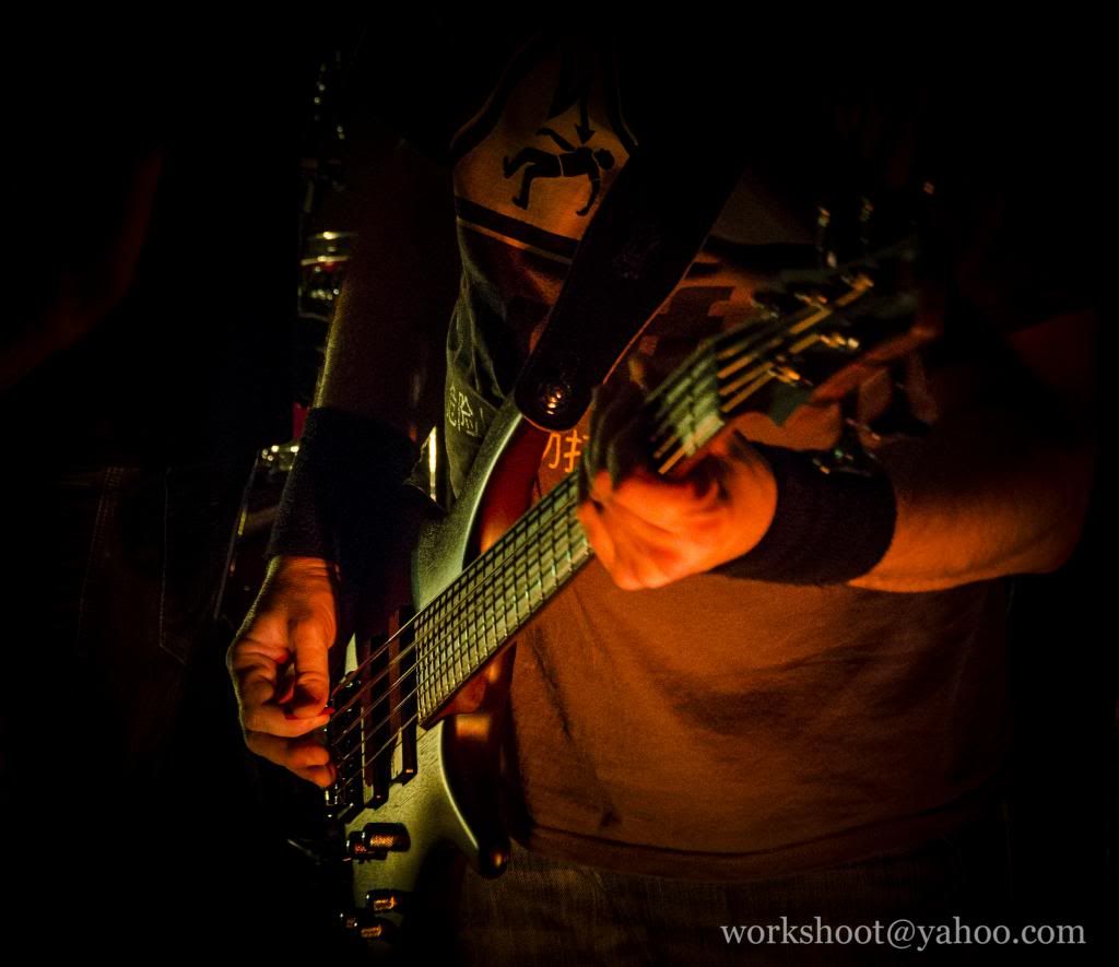 Growler Photos - Christian at The Mulberry Tree