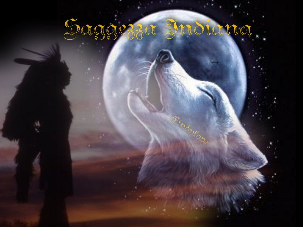Il richiamo del lupostorie indiani..(1 PARTE..)