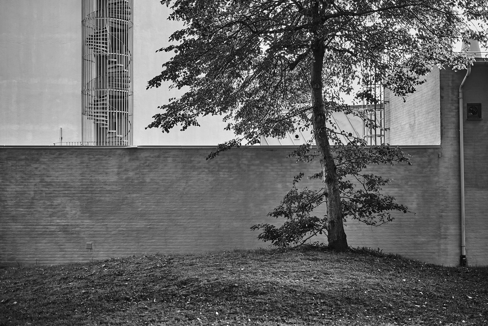 L1001299anaccidentwaitingtohappen_zpstra