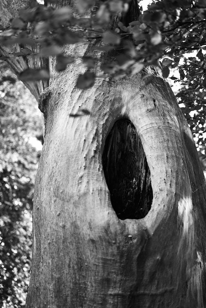 L1001311anaccidentwaitingtohappen_zpsp7a