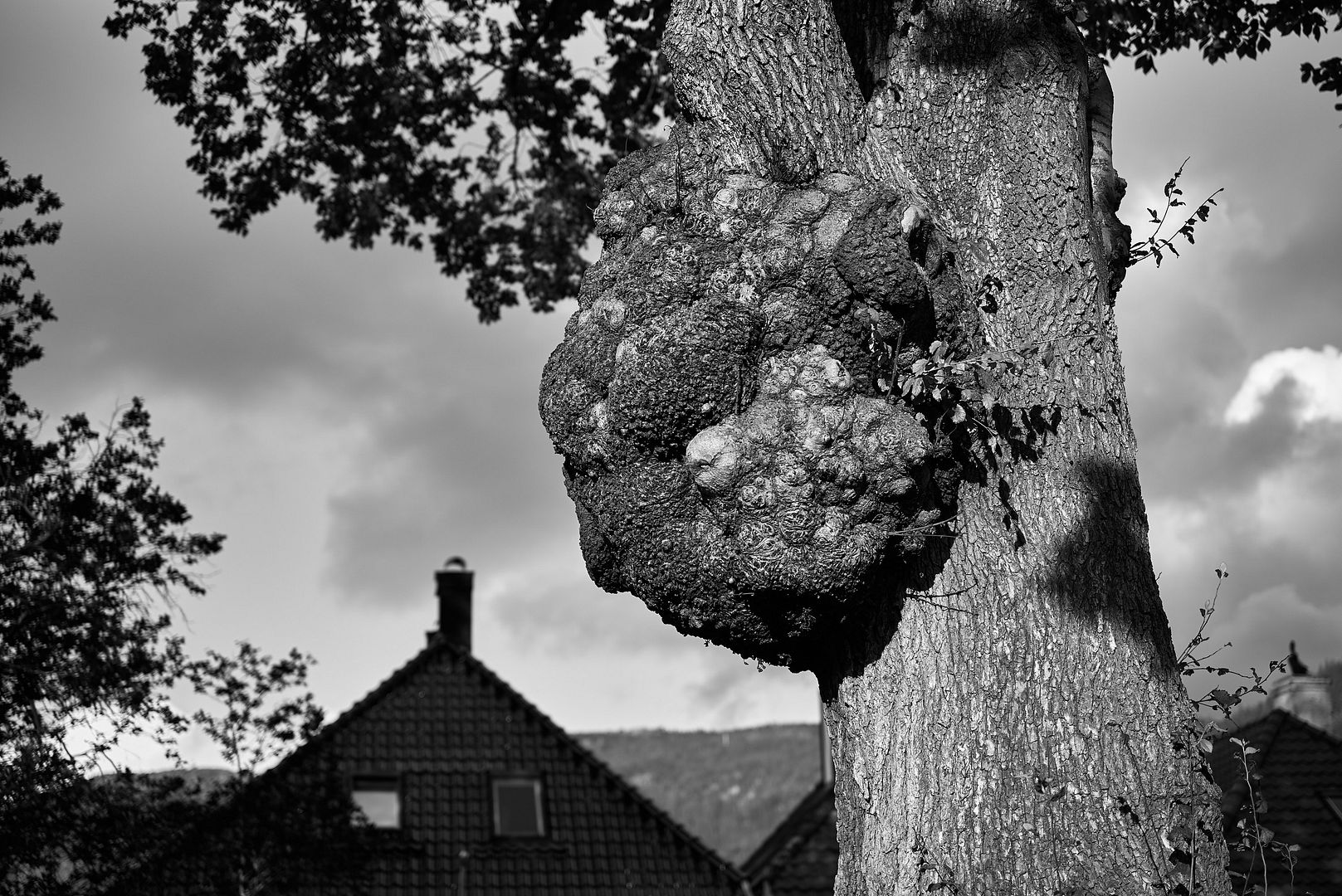 L1001323anaccidentwaitingtohappen_zpsy5e