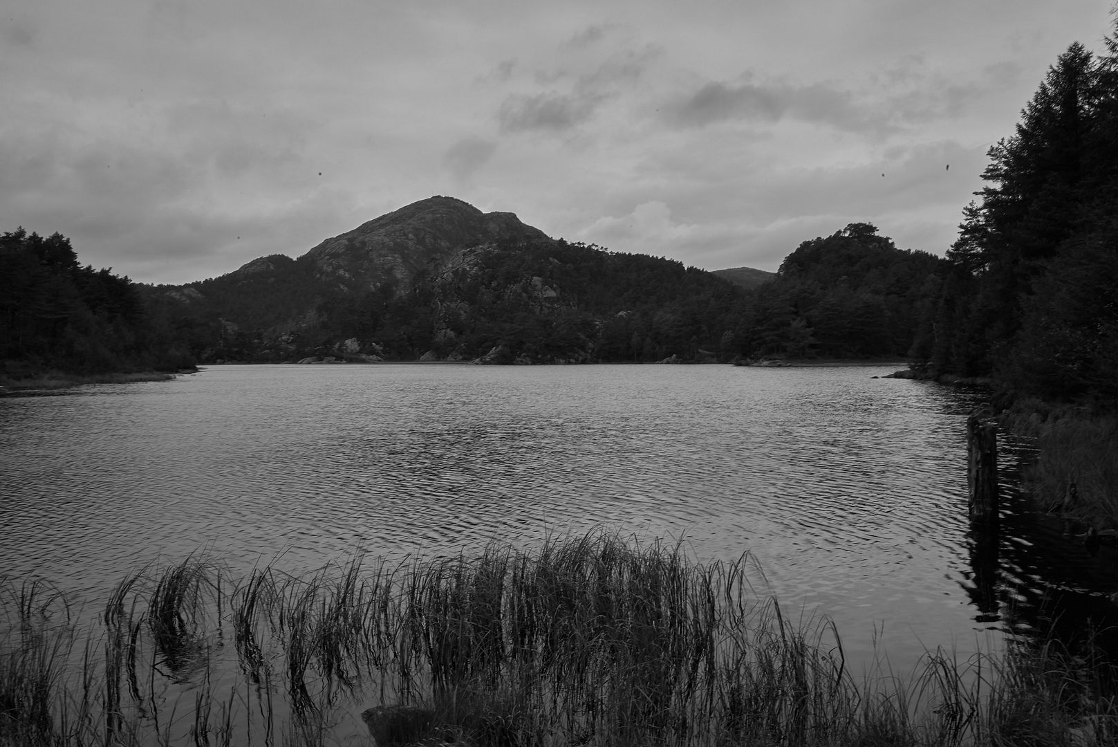 L1001391anaccidentwaitingtohappen_zpssjc