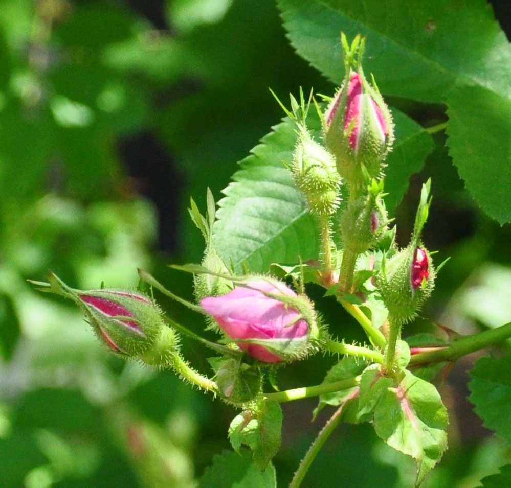  photo 02_zps8711d7ca.jpg