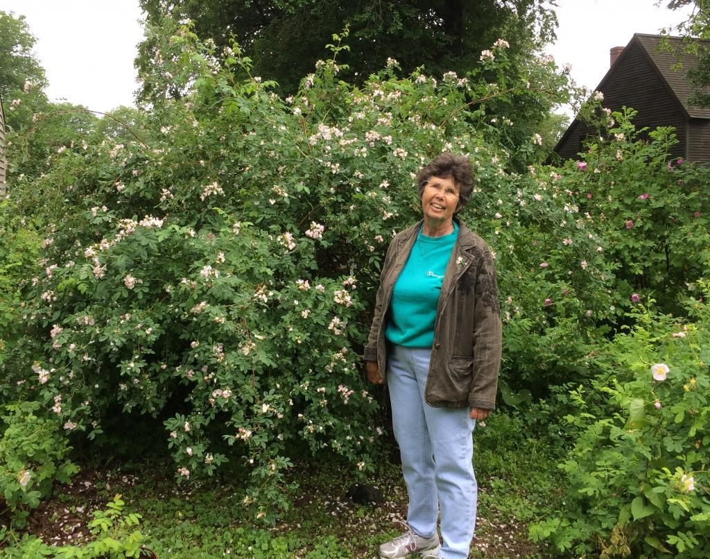  photo 9871bc63-21fb-4b00-84d9-3f72eab1fe1a_zps750a0f1a.jpg