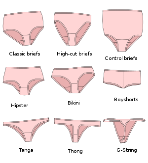 300px-Panties_styles_-_ensvg_zps4a6d67f3.png