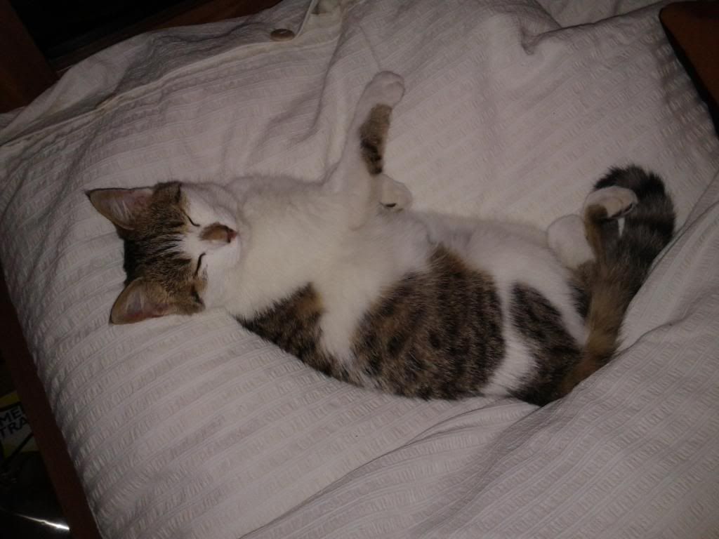 Slika