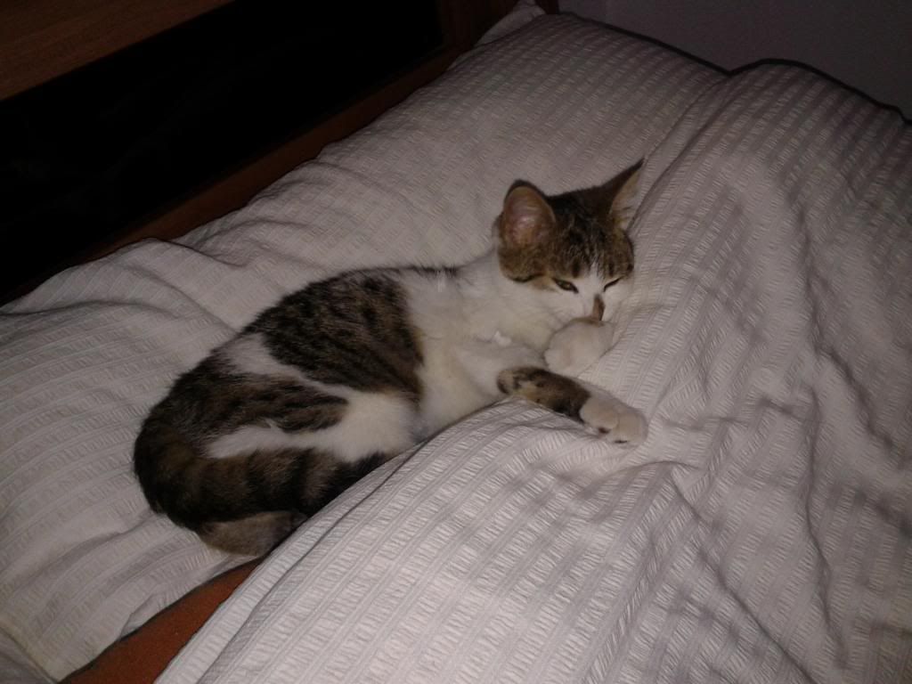 Slika