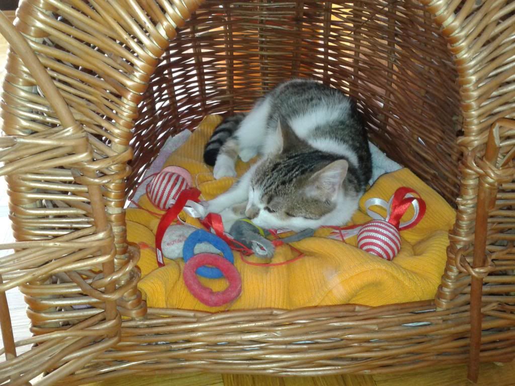 Slika
