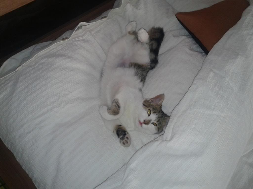 Slika