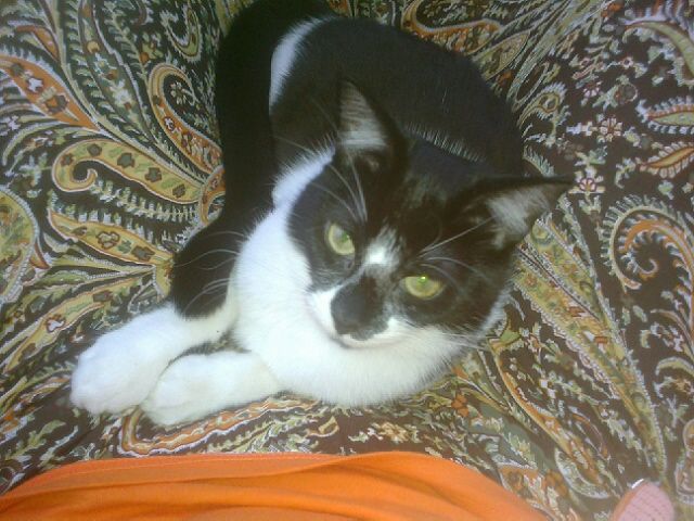 Slika