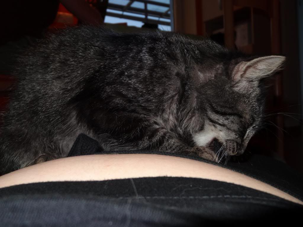 Slika