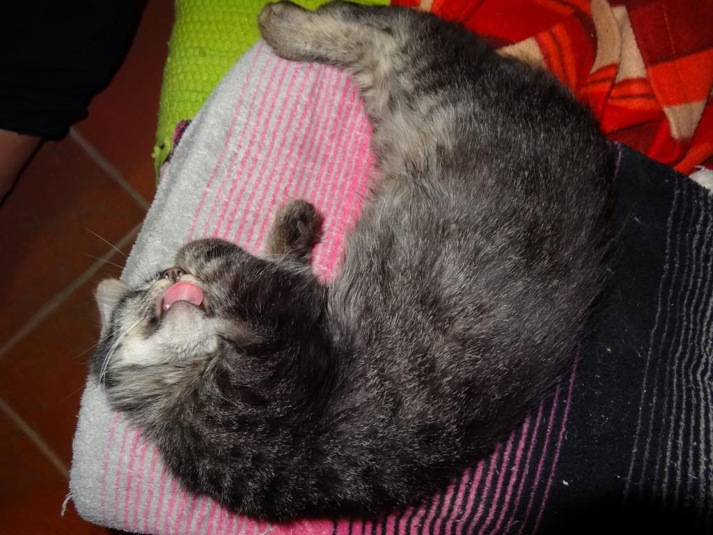 Slika