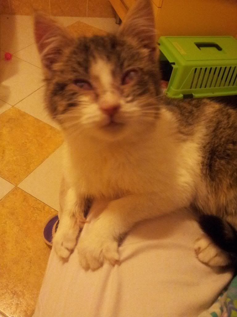 Slika
