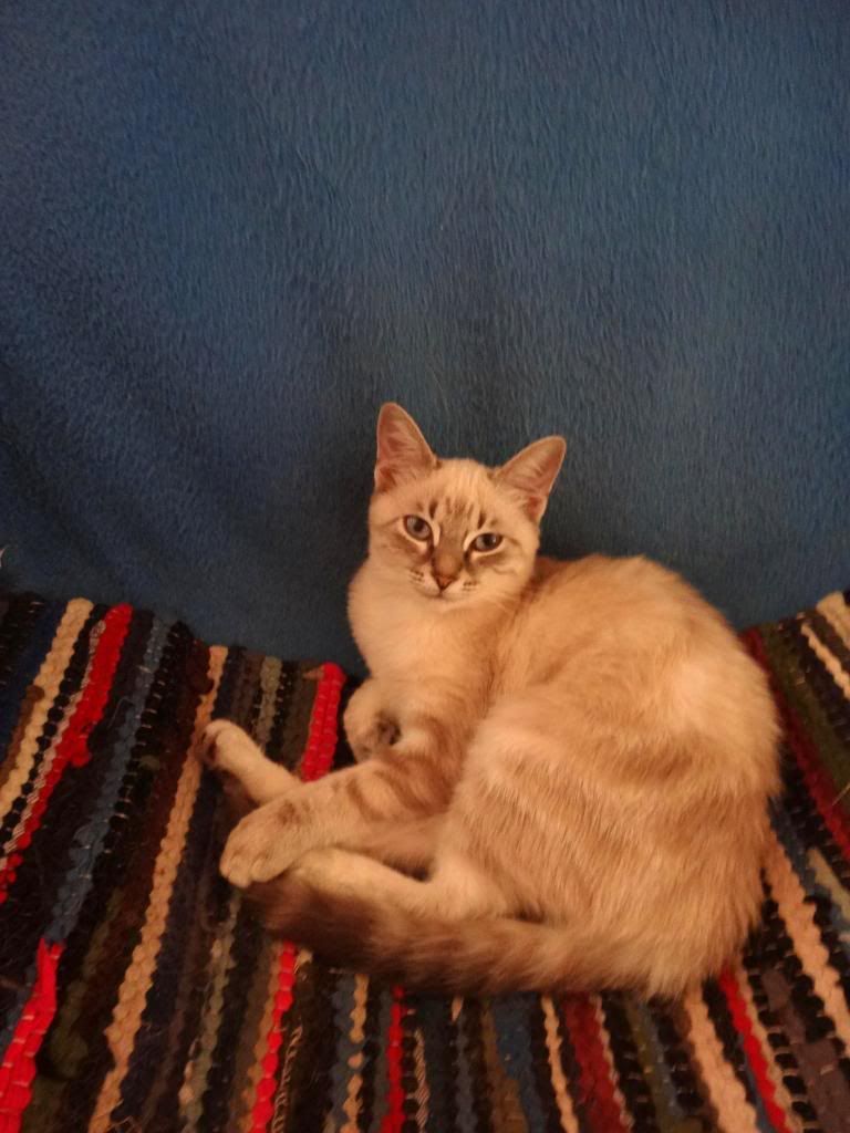 Slika