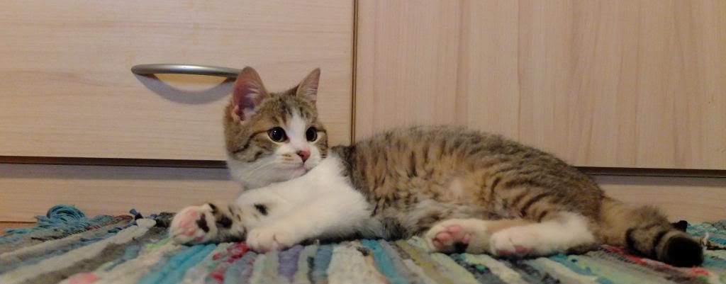 Slika