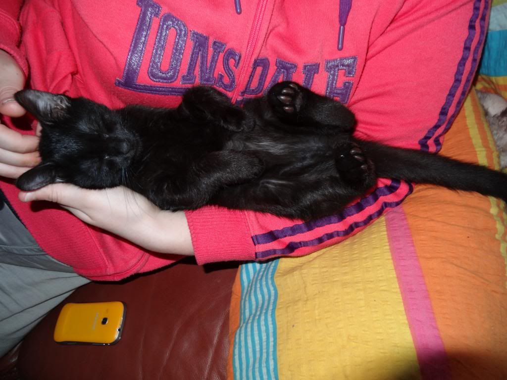 Slika