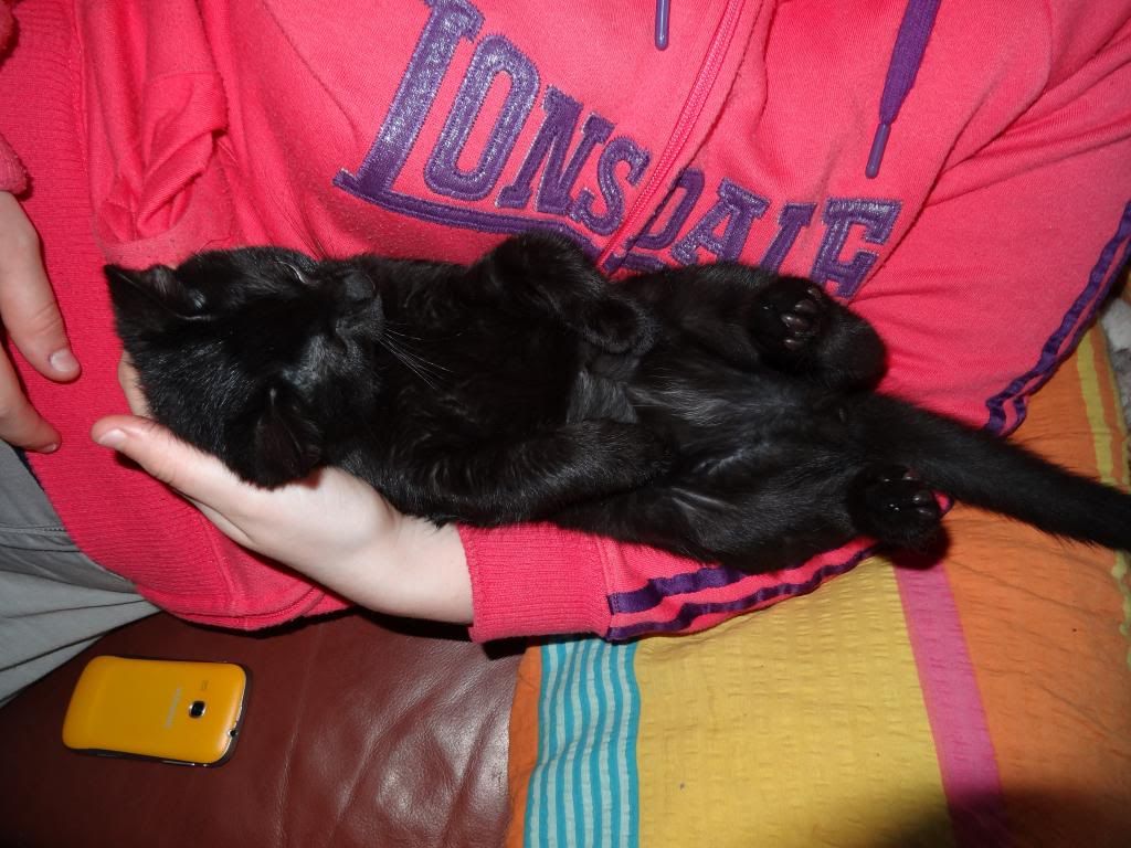 Slika