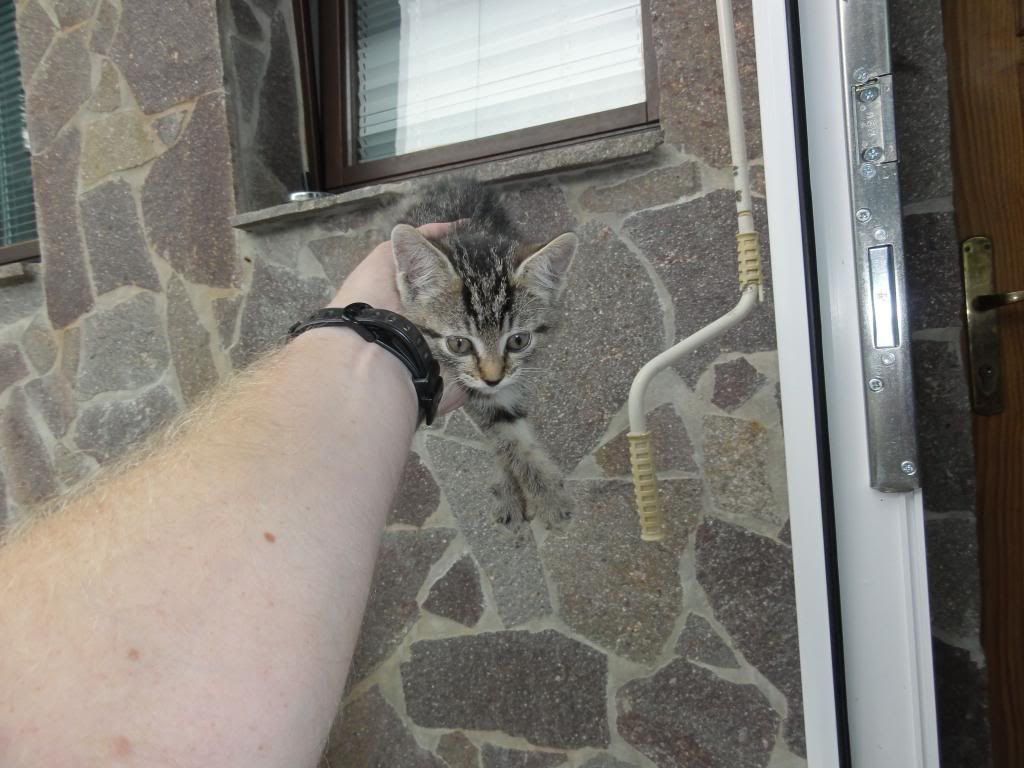 Slika