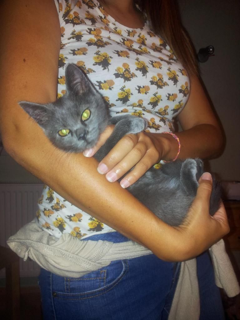 Slika