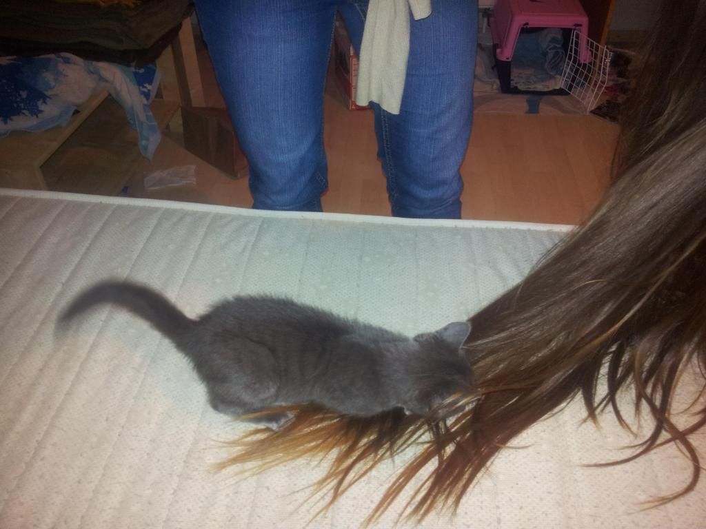 Slika
