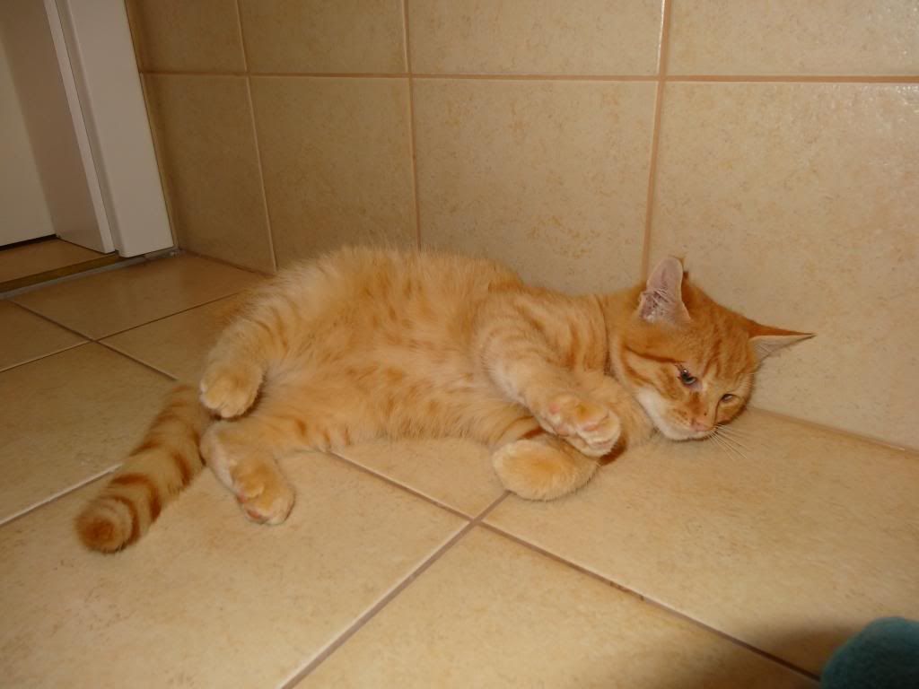 Slika