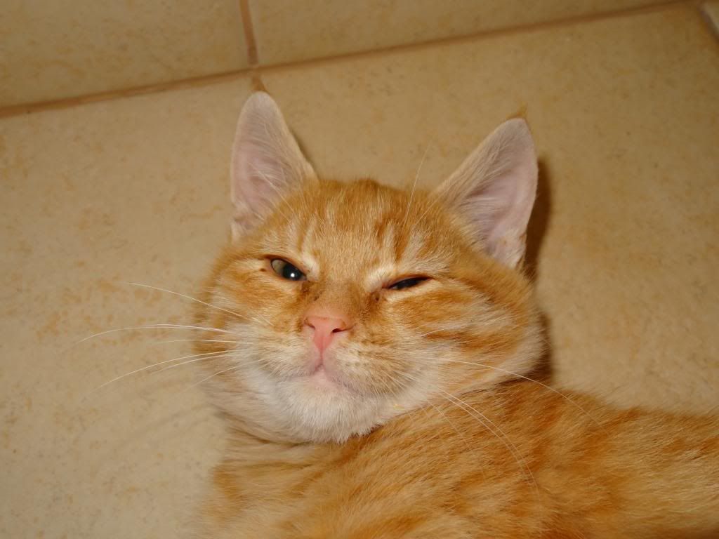 Slika
