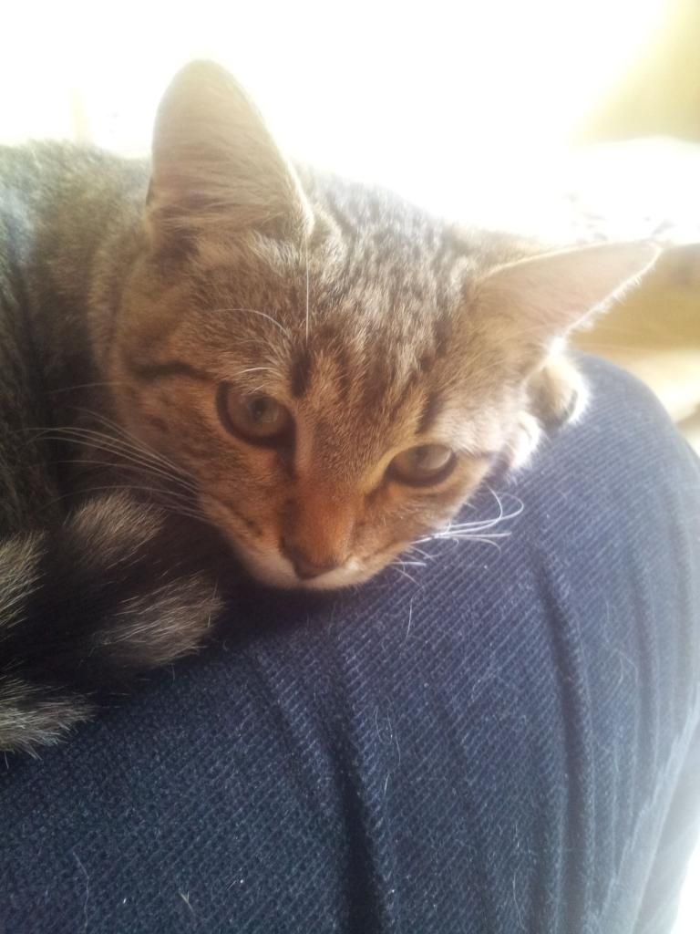 Slika