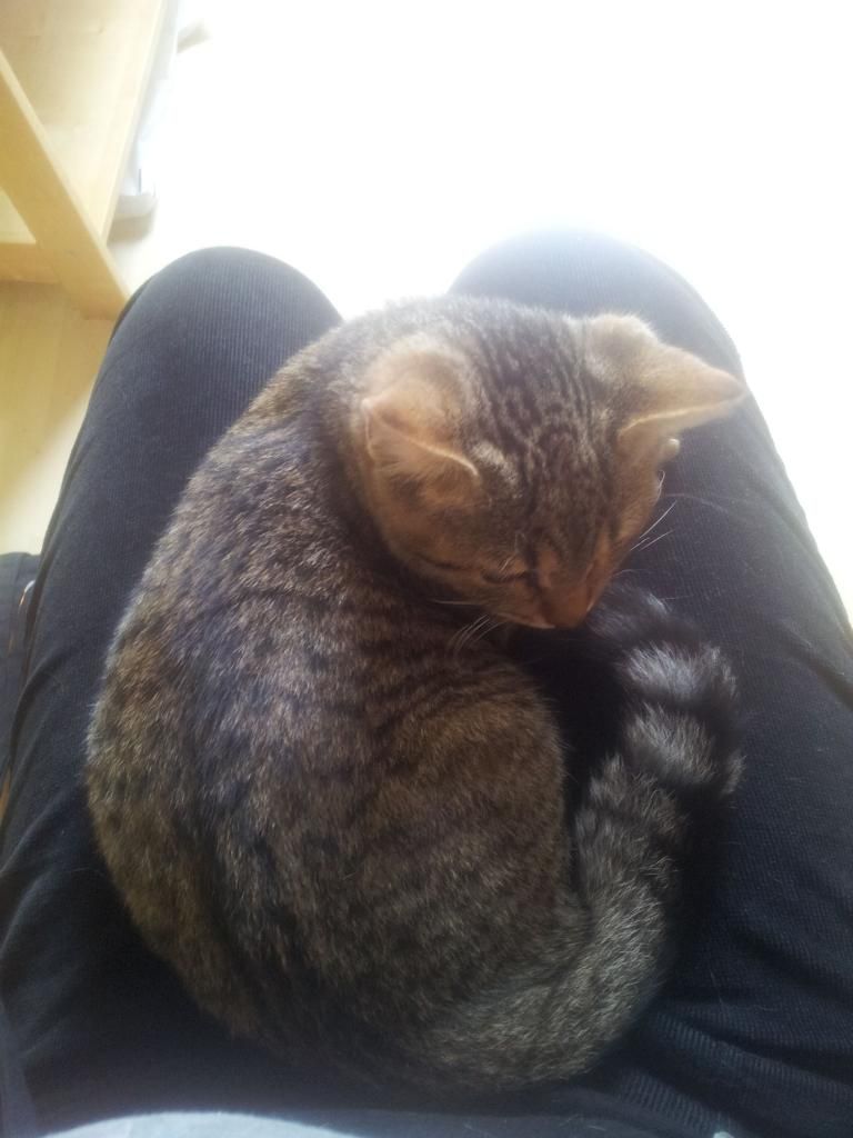 Slika