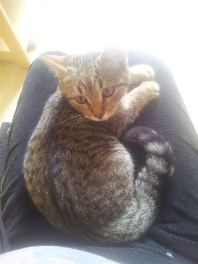 Slika