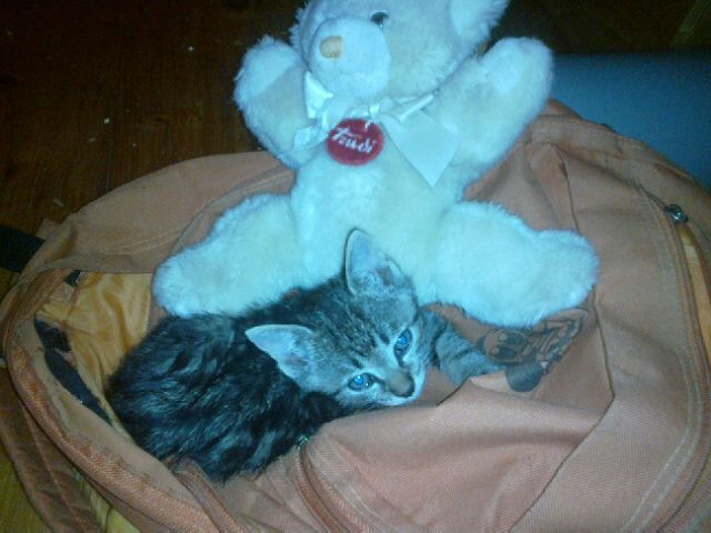 Slika