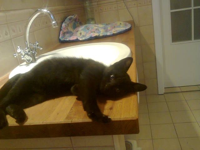 Slika