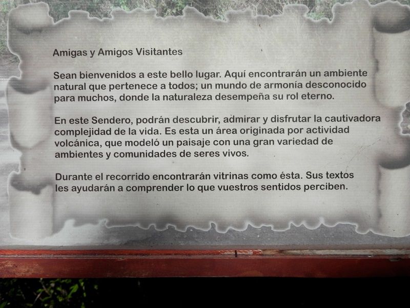 Etapa 1: Bus Puerto Varas – Saltos y Embarcadero PETROHUÉ - 100 años del maravilloso CRUCE ANDINO (11)