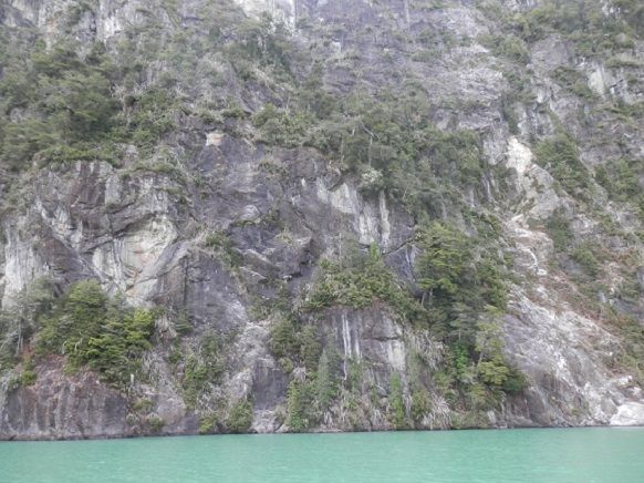 100 años del maravilloso CRUCE ANDINO - Blogs de America Sur - Etapas 4+5: Navegación Lago FRÍAS hasta Puerto ALEGRE y traslado a Puerto BLEST (7)