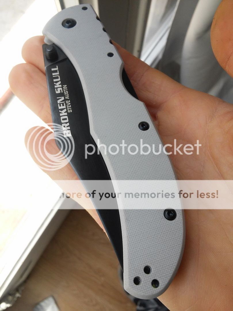 Should I get Spyderco Endura or Cold Steel Broken skull?